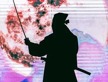 Ninja + Kabuki Tokyo scene