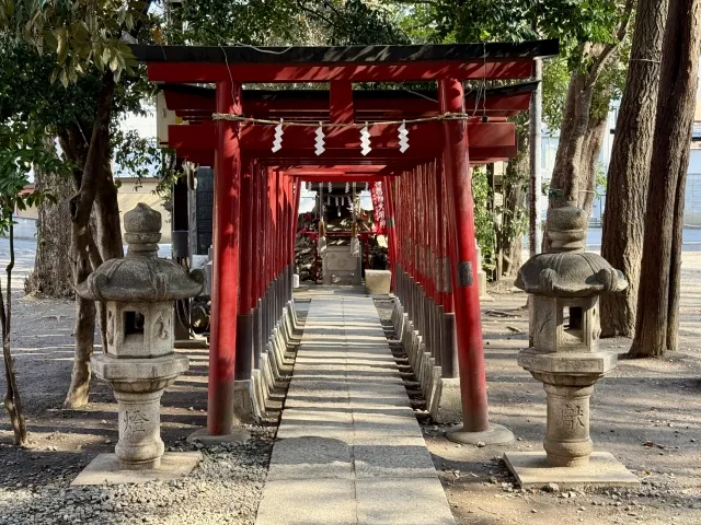 Tunnel of vermilion torii gates at Naruko Tenjin Shrine